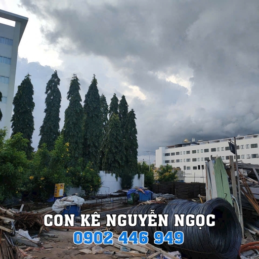 THU MUA SẮT THÉP PHẾ LIỆU TỪ CÔNG TRÌNH
