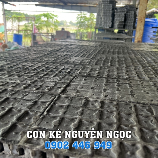 CON KÊ 45-60